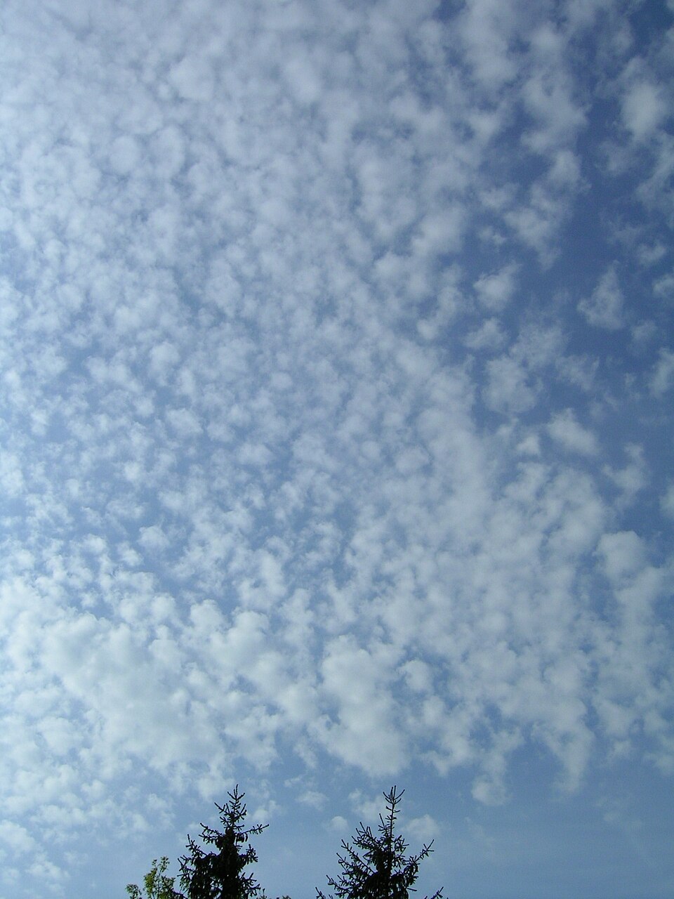 Cirrocumulus