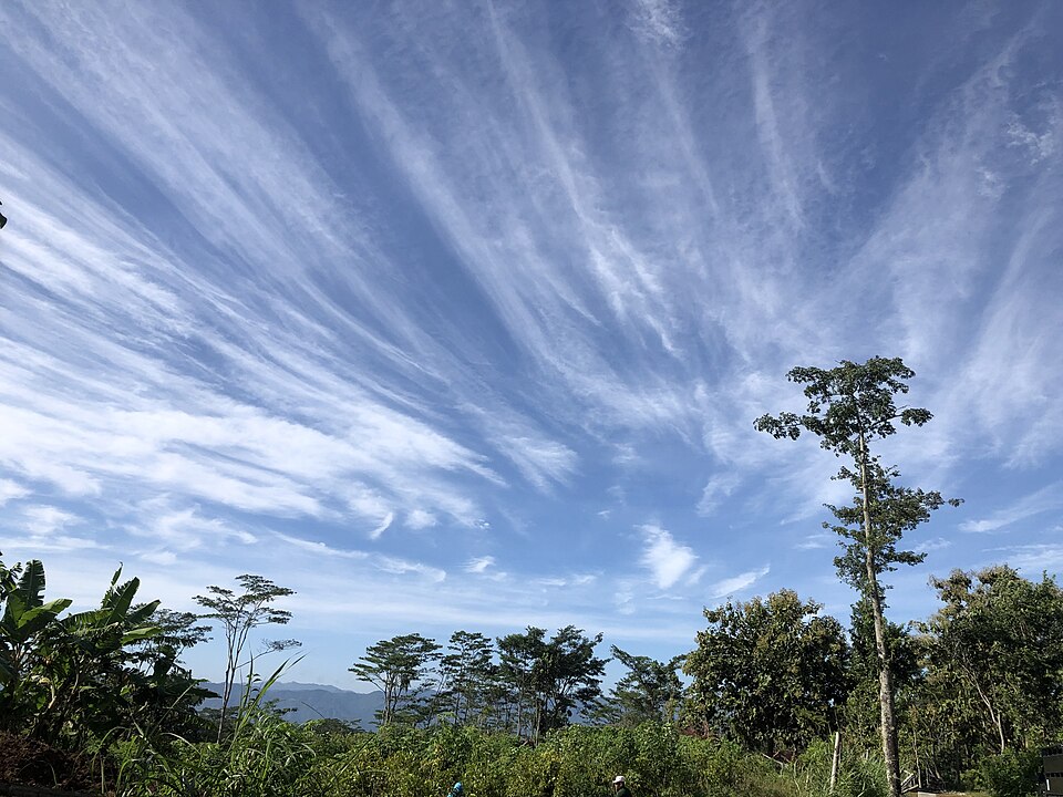 Cirrus clouds