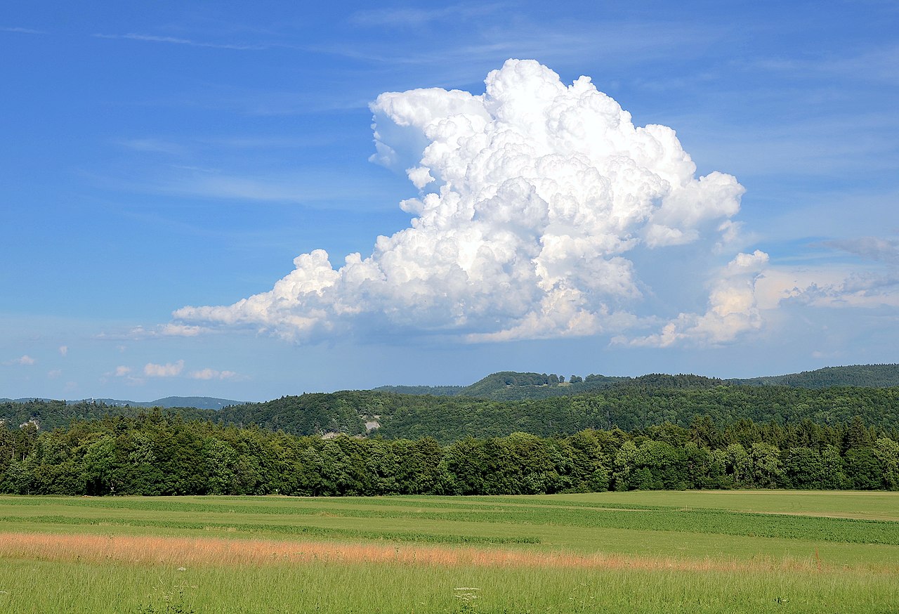 Cumulus Congestus (©commons.wikimedia)